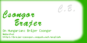 csongor brajer business card