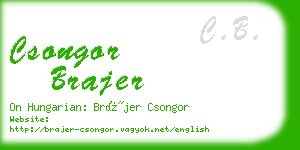 csongor brajer business card